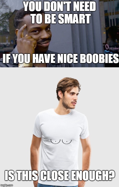 I don't have enough money for real ones :( | YOU DON'T NEED TO BE SMART; IF YOU HAVE NICE BOOBIES; IS THIS CLOSE ENOUGH? | image tagged in memes,roll safe think about it,boobies | made w/ Imgflip meme maker