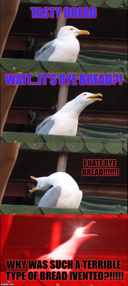 Inhaling Seagull | TASTY BREAD; WAIT...IT'S RYE BREAD?! I HATE RYE BREAD!!!!!!! WHY WAS SUCH A TERRIBLE TYPE OF BREAD IVENTED?!!!!! | image tagged in memes,inhaling seagull | made w/ Imgflip meme maker