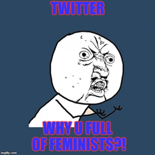 Y U No | TWITTER; WHY U FULL OF FEMINISTS?! | image tagged in memes,y u no | made w/ Imgflip meme maker