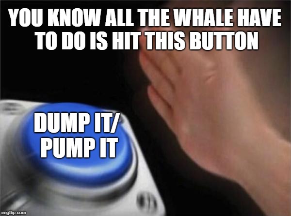 Blank Nut Button Meme | YOU KNOW ALL THE WHALE HAVE TO DO IS HIT THIS BUTTON; DUMP IT/ PUMP IT | image tagged in memes,blank nut button | made w/ Imgflip meme maker