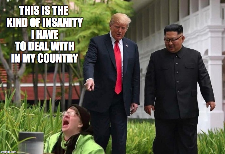 Trump - Kim summit 2018 | THIS IS THE KIND OF INSANITY I HAVE TO DEAL WITH IN MY COUNTRY | image tagged in donald trump,kim jong un,sjw | made w/ Imgflip meme maker