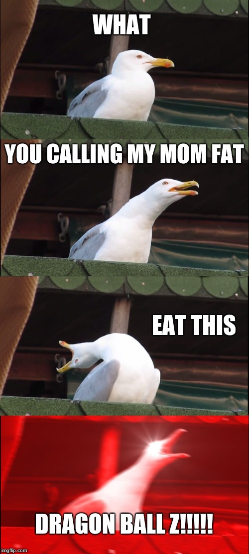 Inhaling Seagull Meme | WHAT; YOU CALLING MY MOM FAT; EAT THIS; DRAGON BALL Z!!!!! | image tagged in memes,inhaling seagull | made w/ Imgflip meme maker