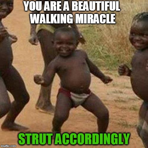 Strut Your Stuff | YOU ARE A BEAUTIFUL WALKING MIRACLE; STRUT ACCORDINGLY | image tagged in memes,third world success kid | made w/ Imgflip meme maker
