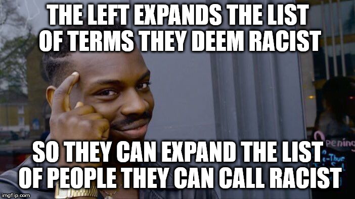 Roll Safe Think About It Meme | THE LEFT EXPANDS THE LIST OF TERMS THEY DEEM RACIST; SO THEY CAN EXPAND THE LIST OF PEOPLE THEY CAN CALL RACIST | image tagged in memes,roll safe think about it | made w/ Imgflip meme maker