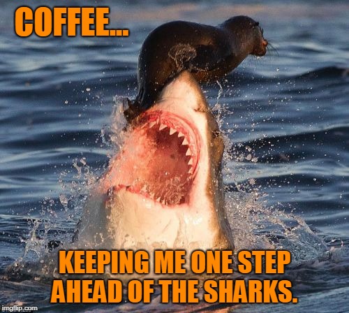 Shark Coffee Life | COFFEE... KEEPING ME ONE STEP AHEAD OF THE SHARKS. | image tagged in memes,travelonshark | made w/ Imgflip meme maker