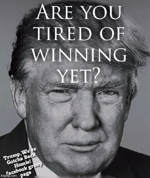 Donald Trump Winning | image tagged in conservative,meme,maga,winning,potus,black and white | made w/ Imgflip meme maker