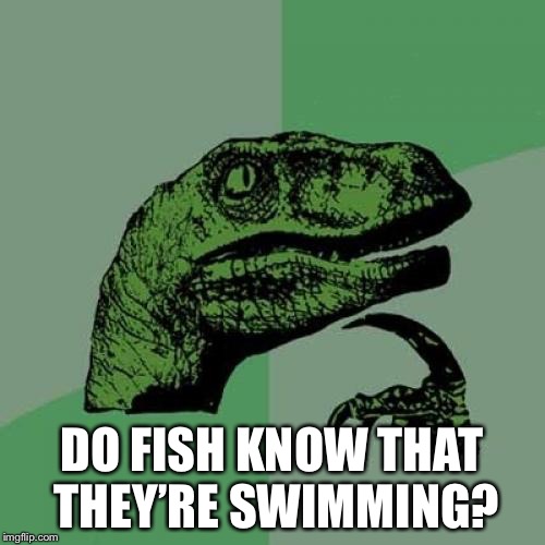 Philosoraptor Meme | DO FISH KNOW THAT THEY’RE SWIMMING? | image tagged in memes,philosoraptor | made w/ Imgflip meme maker