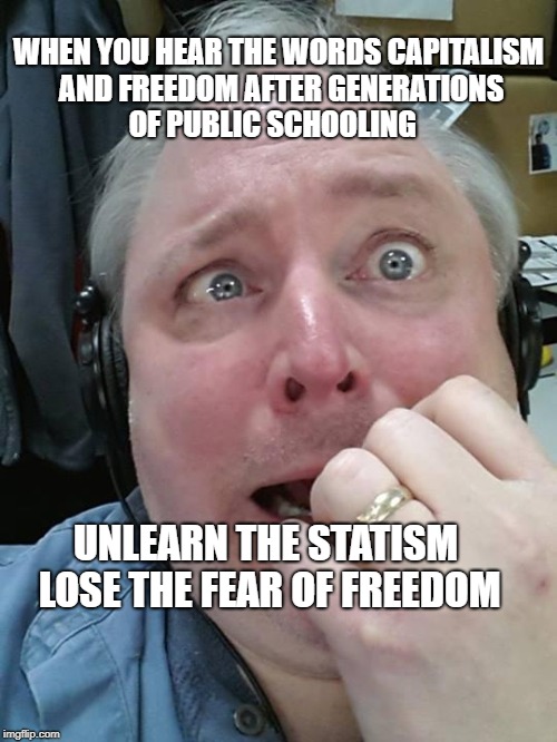 Paranoid Fear Guy | WHEN YOU HEAR THE WORDS CAPITALISM AND FREEDOM AFTER GENERATIONS OF PUBLIC SCHOOLING; UNLEARN THE STATISM  LOSE THE FEAR OF FREEDOM | image tagged in paranoid fear guy | made w/ Imgflip meme maker