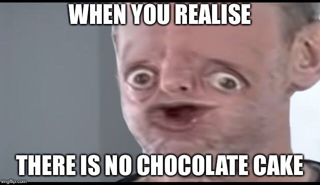 Michael Rosen | WHEN YOU REALISE; THERE IS NO CHOCOLATE CAKE | image tagged in ytp | made w/ Imgflip meme maker