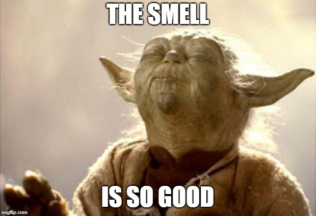 yoda smell | THE SMELL; IS SO GOOD | image tagged in yoda smell | made w/ Imgflip meme maker