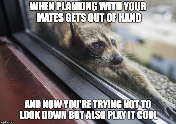 planking racoon | WHEN PLANKING WITH YOUR MATES GETS OUT OF HAND | image tagged in play it cool racoon | made w/ Imgflip meme maker