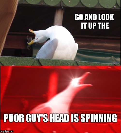 POOR GUY'S HEAD IS SPINNING | image tagged in disney,inhaling seagull,fandoms,vines | made w/ Imgflip meme maker
