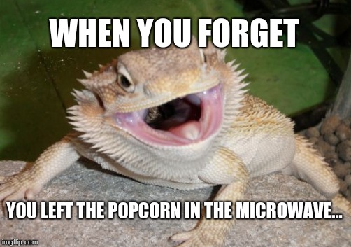 when you forget... |  WHEN YOU FORGET; YOU LEFT THE POPCORN IN THE MICROWAVE... | image tagged in bearded dragon,when you forget | made w/ Imgflip meme maker
