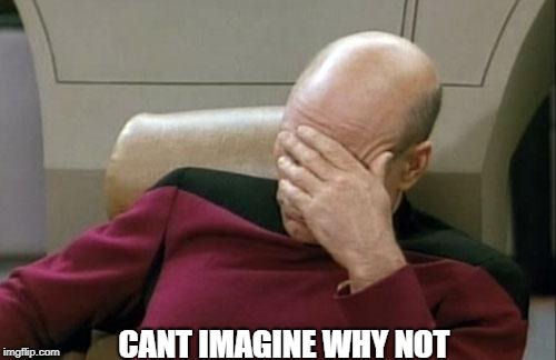 Captain Picard Facepalm Meme | CANT IMAGINE WHY NOT | image tagged in memes,captain picard facepalm | made w/ Imgflip meme maker