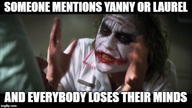 MAKE IT STOP!!!! | SOMEONE MENTIONS YANNY OR LAUREL; AND EVERYBODY LOSES THEIR MINDS | image tagged in memes,and everybody loses their minds,yanny,laurel | made w/ Imgflip meme maker