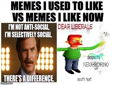 memes | MEMES I USED TO LIKE VS MEMES I LIKE NOW | image tagged in memes,funny,dank memes,despacito | made w/ Imgflip meme maker