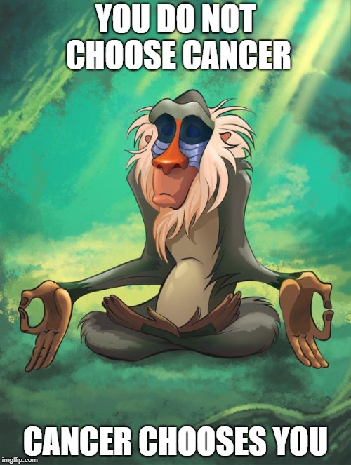 Rafiki wisdom | YOU DO NOT CHOOSE CANCER; CANCER CHOOSES YOU | image tagged in rafiki wisdom,cancer,choices,wise man,knowledge,disease | made w/ Imgflip meme maker