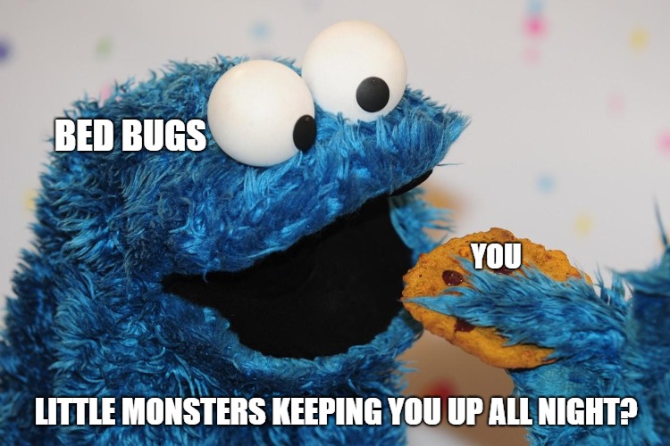 Don't Be The Cookie! | BED BUGS; YOU; LITTLE MONSTERS KEEPING YOU UP ALL NIGHT? | image tagged in cookie monster crazy,cookie monster,cookie,eat,bedbugs,sesame street | made w/ Imgflip meme maker