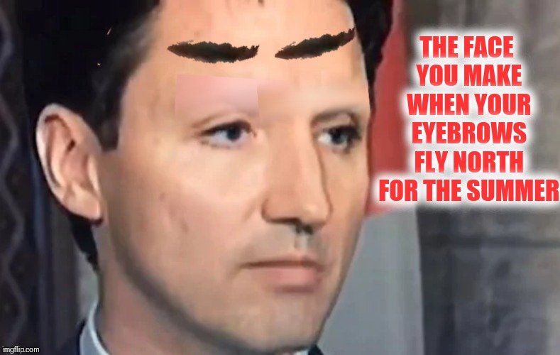 THE FACE YOU MAKE WHEN YOUR EYEBROWS FLY NORTH FOR THE SUMMER | made w/ Imgflip meme maker