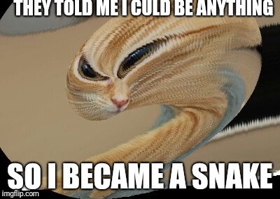 THEY TOLD ME I CULD BE ANYTHING; SO I BECAME A SNAKE | image tagged in serpent cat | made w/ Imgflip meme maker