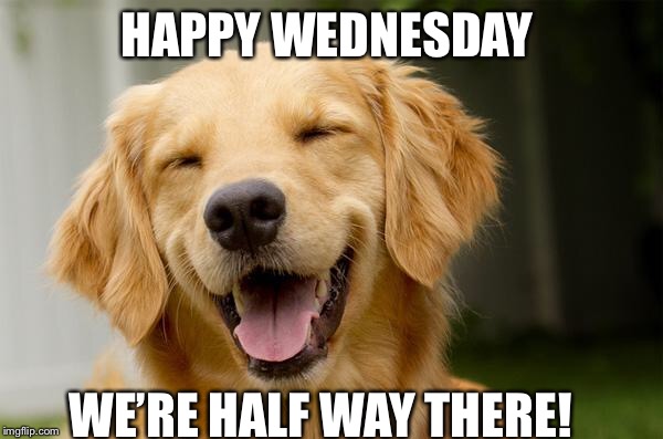 Happy Dog | HAPPY WEDNESDAY; WE’RE HALF WAY THERE! | image tagged in happy dog | made w/ Imgflip meme maker