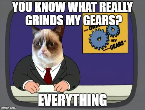 Grumpy Cat News | YOU KNOW WHAT REALLY GRINDS MY GEARS? EVERYTHING | image tagged in memes,peter griffin news,grumpy cat | made w/ Imgflip meme maker