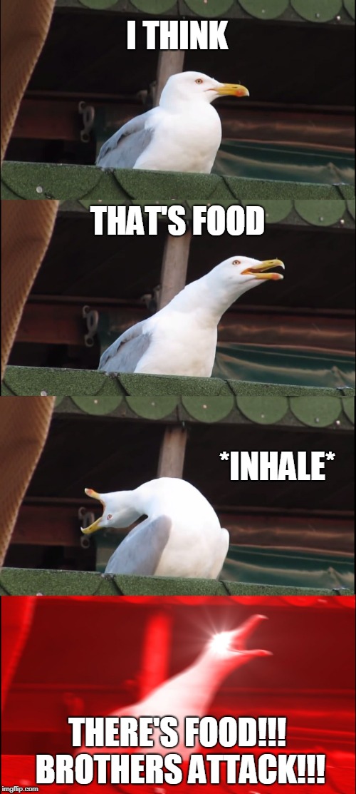 when seagulls see food | I THINK; THAT'S FOOD; *INHALE*; THERE'S FOOD!!! BROTHERS ATTACK!!! | image tagged in memes,inhaling seagull,food | made w/ Imgflip meme maker