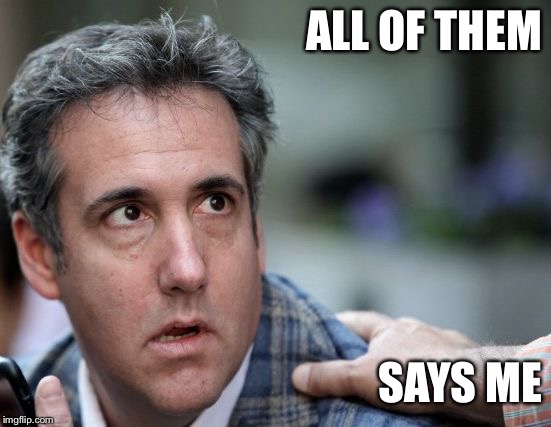 Michael Cohen Sings | ALL OF THEM; SAYS ME | image tagged in michael cohen sings | made w/ Imgflip meme maker
