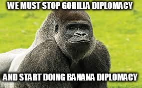 Banana Diplomacy | WE MUST STOP GORILLA DIPLOMACY; AND START DOING BANANA DIPLOMACY | image tagged in banana,love,funlover | made w/ Imgflip meme maker
