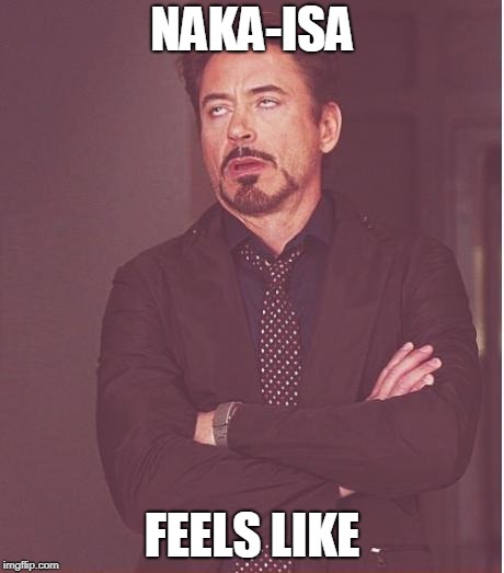 Face You Make Robert Downey Jr Meme | NAKA-ISA; FEELS LIKE | image tagged in memes,face you make robert downey jr | made w/ Imgflip meme maker