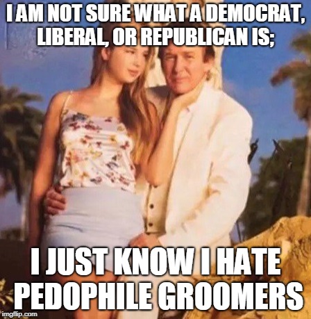 I AM NOT SURE WHAT A DEMOCRAT, LIBERAL, OR REPUBLICAN IS;; I JUST KNOW I HATE PEDOPHILE GROOMERS | made w/ Imgflip meme maker