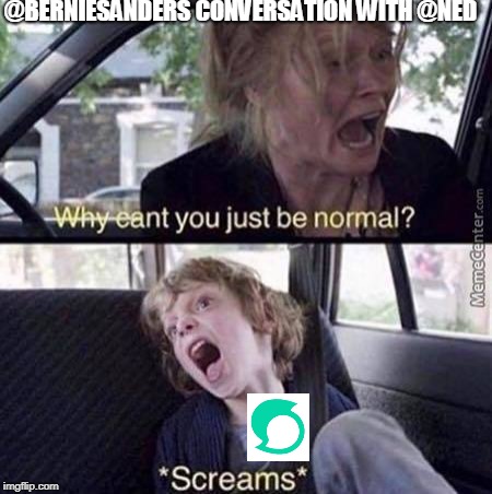 Why Can't You Just Be Normal | @BERNIESANDERS CONVERSATION WITH @NED | image tagged in why can't you just be normal | made w/ Imgflip meme maker