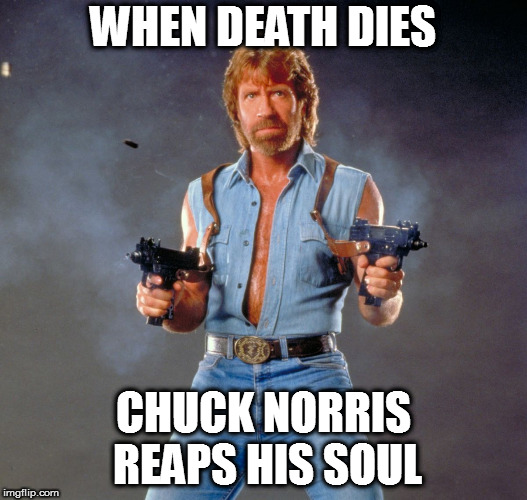 Chuck Norris Guns | WHEN DEATH DIES; CHUCK NORRIS REAPS HIS SOUL | image tagged in memes,chuck norris guns,chuck norris | made w/ Imgflip meme maker