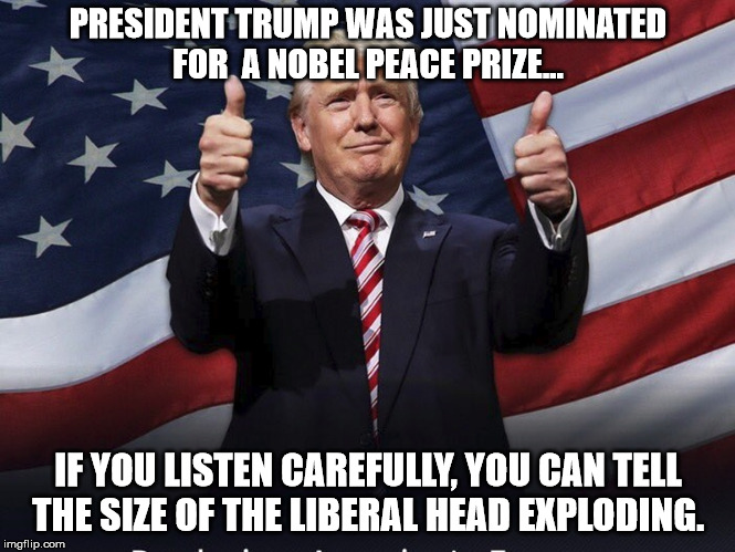 Donald Trump Thumbs Up | PRESIDENT TRUMP WAS JUST NOMINATED FOR  A NOBEL PEACE PRIZE... IF YOU LISTEN CAREFULLY, YOU CAN TELL THE SIZE OF THE LIBERAL HEAD EXPLODING. | image tagged in donald trump thumbs up | made w/ Imgflip meme maker