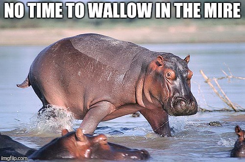 Giddy Up - Time's a Wastin' | NO TIME TO WALLOW IN THE MIRE | image tagged in the doors,light my fire,hippo | made w/ Imgflip meme maker