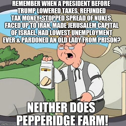 Donald J Trump Approves This Message ...and I do too! |  REMEMBER WHEN A PRESIDENT BEFORE TRUMP LOWERED TAXES, REFUNDED TAX MONEY, STOPPED SPREAD OF NUKES, FACED UP TO IRAN, MADE JERUSALEM CAPITAL OF ISRAEL, HAD LOWEST UNEMPLOYMENT EVER & PARDONED AN OLD LADY FROM PRISON? NEITHER DOES PEPPERIDGE FARM! | image tagged in pepperidge farm remembers,vince vance,donald j trump,potus 45,the donald,best president ever | made w/ Imgflip meme maker