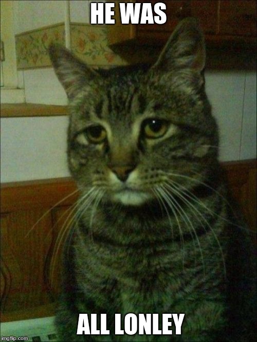 Depressed Cat Meme | HE WAS; ALL LONLEY | image tagged in memes,depressed cat | made w/ Imgflip meme maker