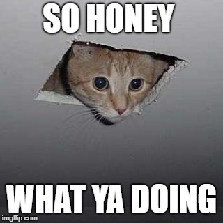 Ceiling Cat | SO HONEY; WHAT YA DOING | image tagged in memes,ceiling cat | made w/ Imgflip meme maker