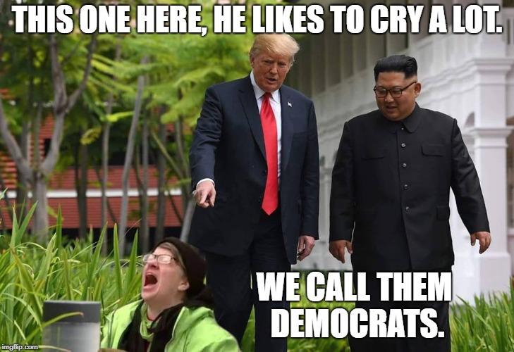 The wizard of weeds. | THIS ONE HERE, HE LIKES TO CRY A LOT. WE CALL THEM DEMOCRATS. | image tagged in donald trump,kim jong un,north korea,snowflakes | made w/ Imgflip meme maker