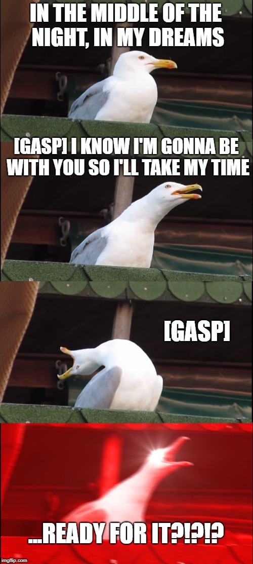 ...Ready for the Deep Breaths? | IN THE MIDDLE OF THE NIGHT, IN MY DREAMS; [GASP] I KNOW I'M GONNA BE WITH YOU SO I'LL TAKE MY TIME; [GASP]; ...READY FOR IT?!?!? | image tagged in memes,inhaling seagull,taylor swift | made w/ Imgflip meme maker