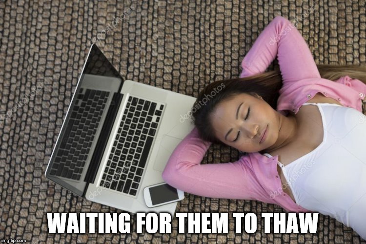 WAITING FOR THEM TO THAW | made w/ Imgflip meme maker