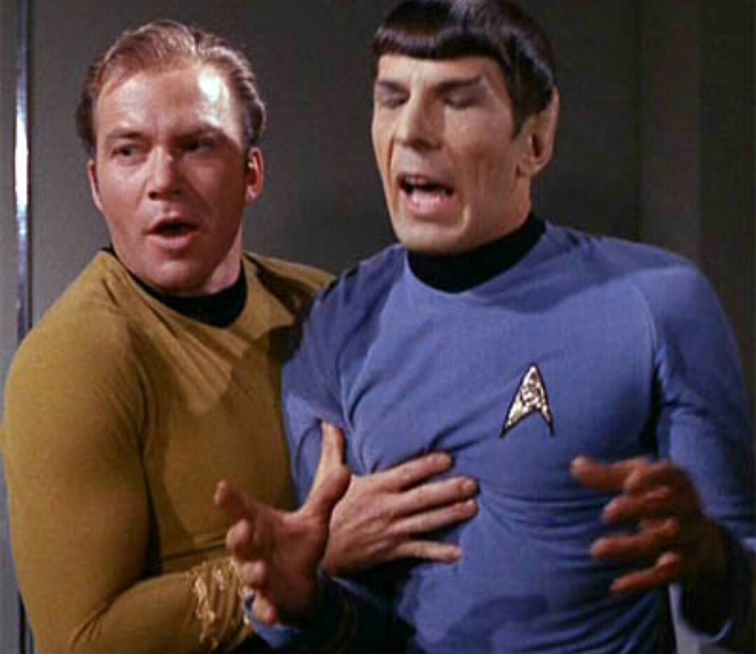 High Quality Star trek Jim Kirk Spock sock  Blank Meme Template