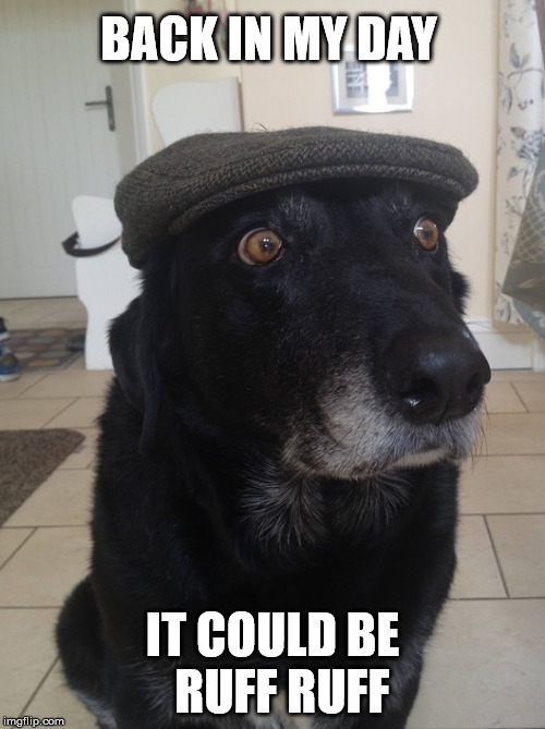 Back In My Day Dog | BACK IN MY DAY; IT COULD BE  RUFF RUFF | image tagged in back in my day dog | made w/ Imgflip meme maker