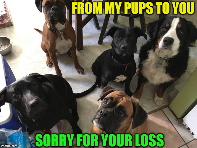 FROM MY PUPS TO YOU SORRY FOR YOUR LOSS | made w/ Imgflip meme maker