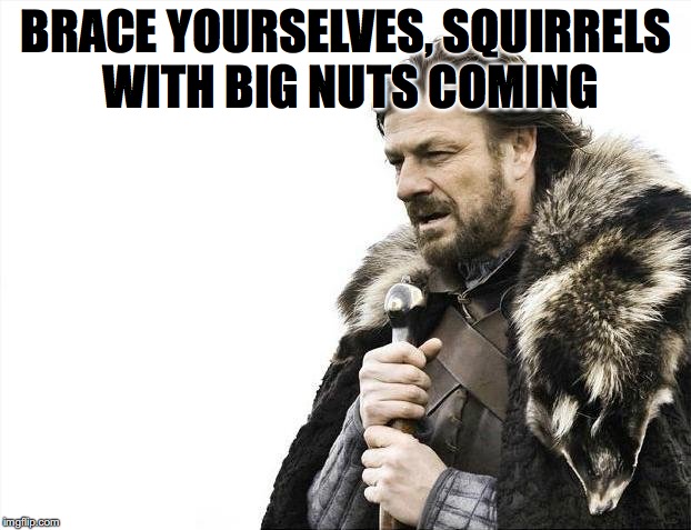 Brace Yourselves X is Coming Meme | BRACE YOURSELVES, SQUIRRELS WITH BIG NUTS COMING | image tagged in memes,brace yourselves x is coming | made w/ Imgflip meme maker