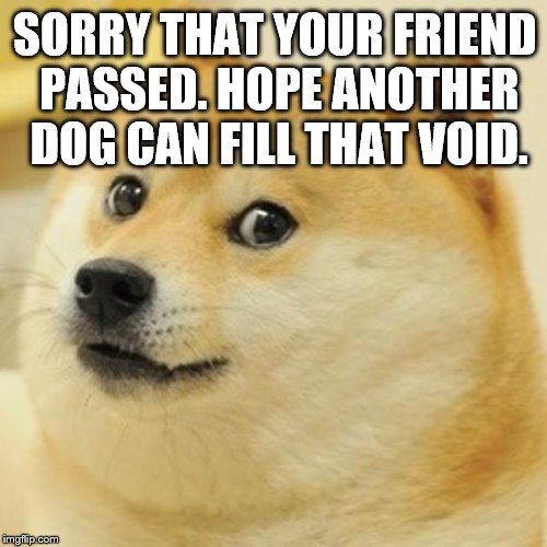 Doge Meme | SORRY THAT YOUR FRIEND PASSED. HOPE ANOTHER DOG CAN FILL THAT VOID. | image tagged in memes,doge | made w/ Imgflip meme maker