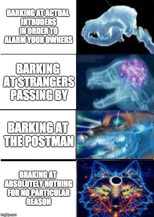 Expanding Brain Meme | BARKING AT ACTUAL INTRUDERS IN ORDER TO ALARM YOUR OWNERS; BARKING AT STRANGERS PASSING BY; BARKING AT THE POSTMAN; BRAKING AT ABSOLUTELY NOTHING FOR NO PARTICULAR REASON | image tagged in memes,expanding brain,doge,dogs,barking | made w/ Imgflip meme maker