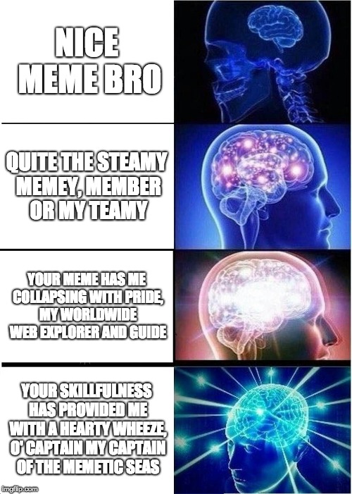 Expanding Brain | NICE MEME BRO; QUITE THE STEAMY MEMEY, MEMBER OR MY TEAMY; YOUR MEME HAS ME COLLAPSING WITH PRIDE, MY WORLDWIDE WEB EXPLORER AND GUIDE; YOUR SKILLFULNESS HAS PROVIDED ME WITH A HEARTY WHEEZE, O' CAPTAIN MY CAPTAIN OF THE MEMETIC SEAS | image tagged in memes,expanding brain | made w/ Imgflip meme maker