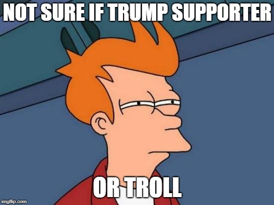 Futurama Fry Meme | NOT SURE IF TRUMP SUPPORTER; OR TROLL | image tagged in memes,futurama fry | made w/ Imgflip meme maker