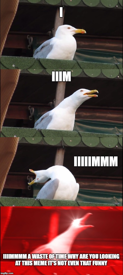 Inhaling Seagull | I; IIIM; IIIIIMMM; IIIIMMMM A WASTE OF TIME WHY ARE YOU LOOKING AT THIS MEME IT'S NOT EVEN THAT FUNNY | image tagged in memes,inhaling seagull | made w/ Imgflip meme maker